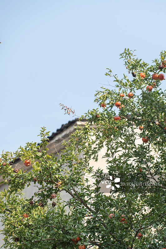 桐庐荻浦村图片素材