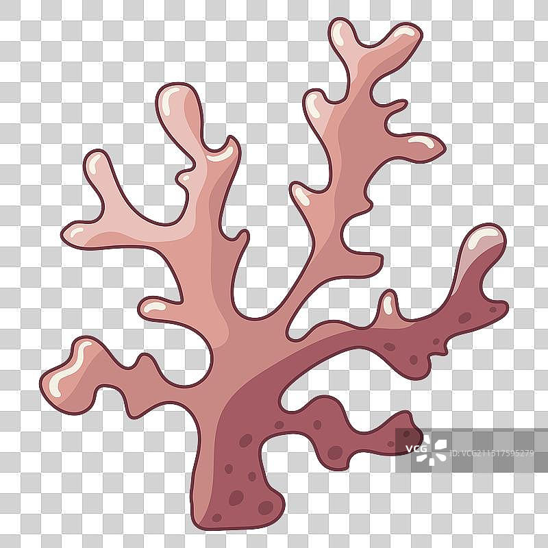 白色背景上的水下粉色波浪珊瑚藻类图片素材