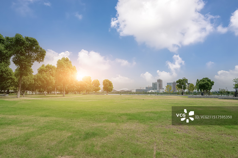 城市天际线下的绿色公园上的日落图片素材