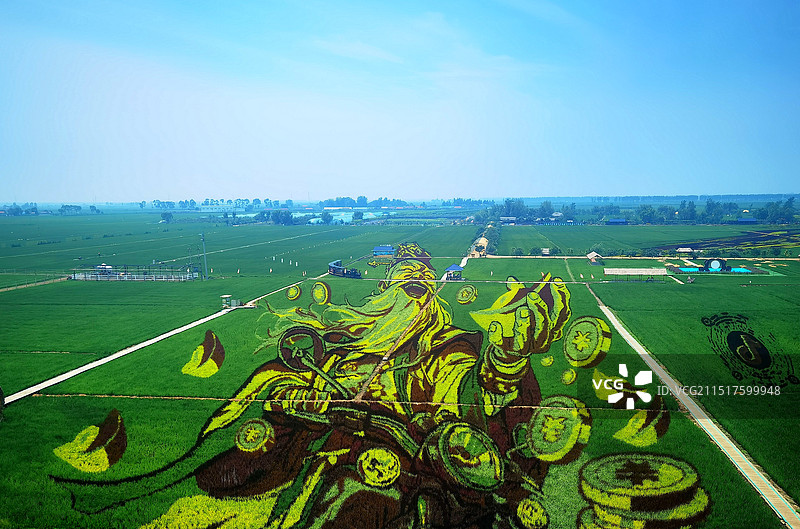 稻梦空间风景区景观系列之稻田画风光（辽宁省沈阳市）图片素材