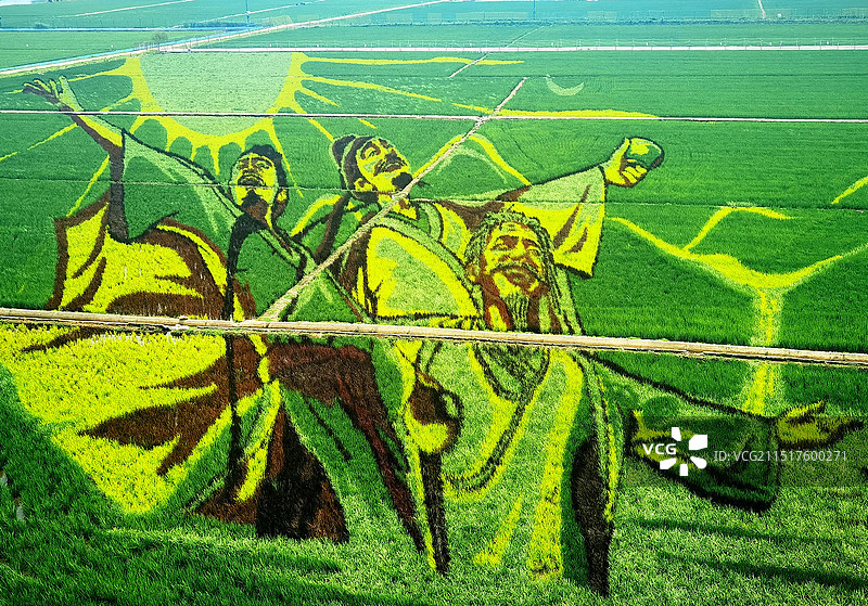 稻梦空间风景区景观系列之稻田画风光（辽宁省沈阳市）图片素材