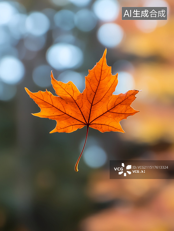 【AI数字艺术】飘落在空中的枫叶正面特写图片素材