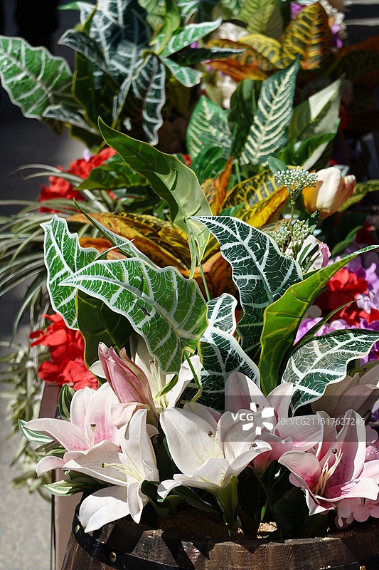 绿叶鲜花植物图片素材