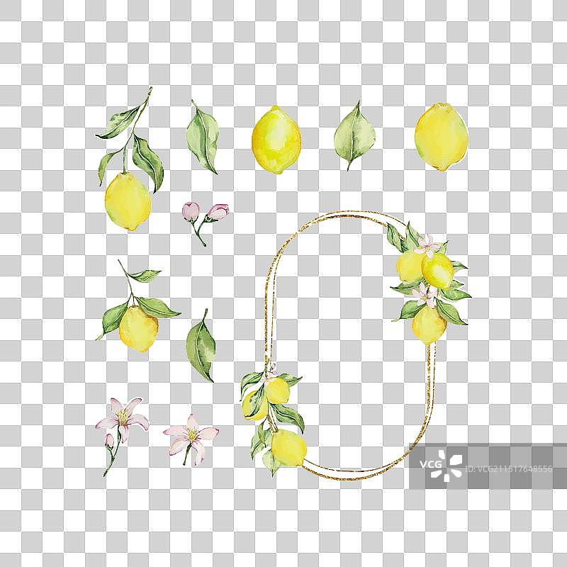 带水彩柠檬叶的金色框架图片素材