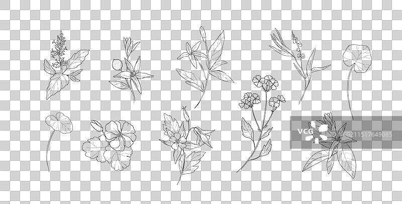 手绘风格的复古草本化妆品套装图片素材