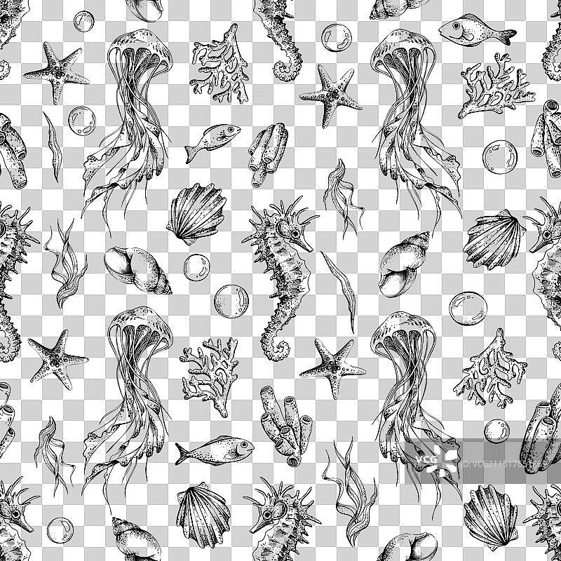 海马、水母、贝壳、珊瑚和鱼图片素材