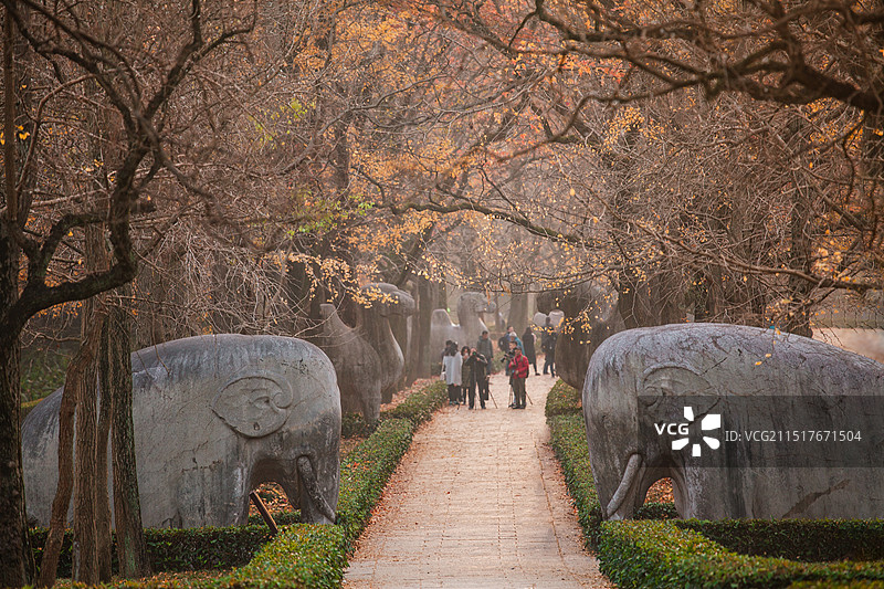 南京明孝陵神道秋天景色图片素材