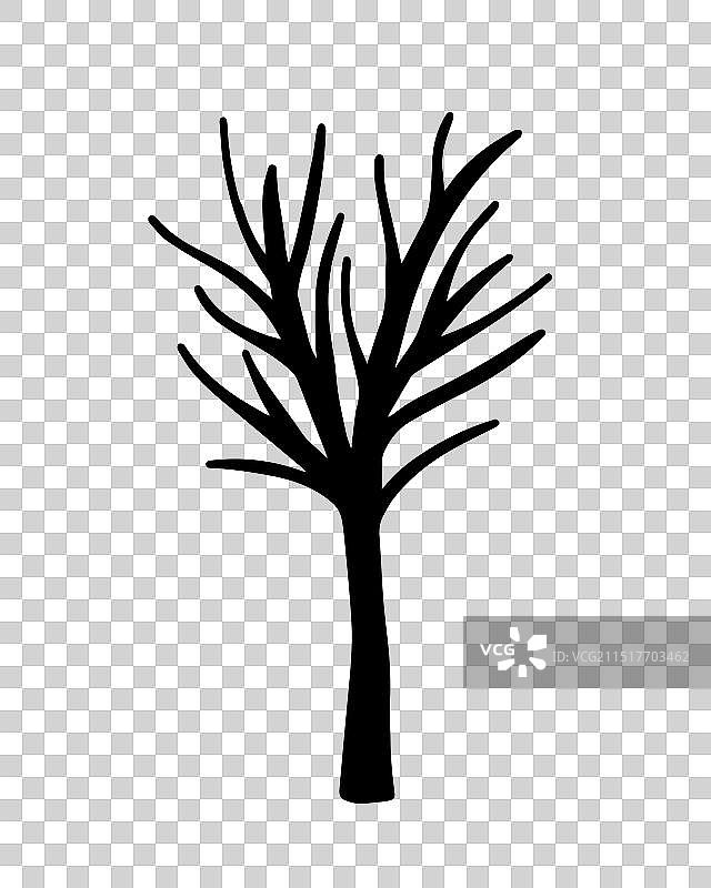 树木素描图片素材