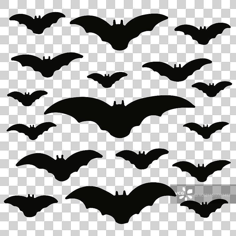 黑色蝙蝠轮廓图片素材