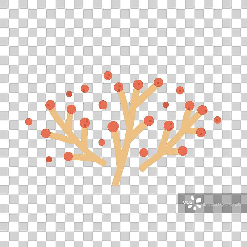 白色背景秋季浆果树枝图片素材