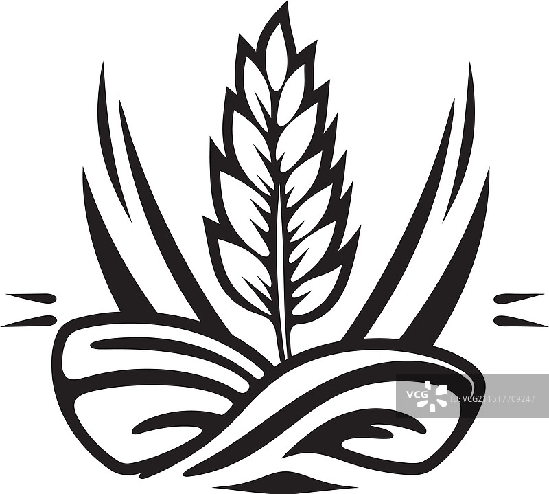 从百吉饼到椒盐卷饼：美食世界图片素材