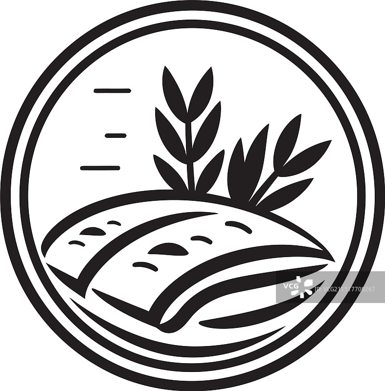 无麸质面粉替代品终极指南图片素材