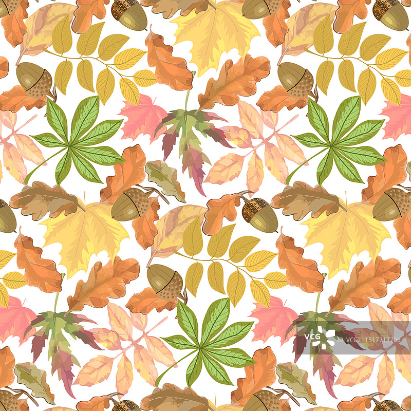 白色背景上的秋叶图片素材