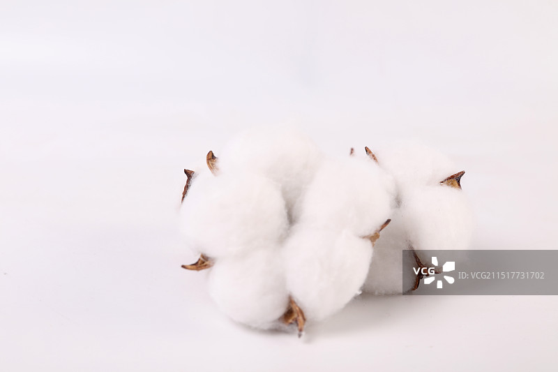 棉花球在白色背景上图片素材