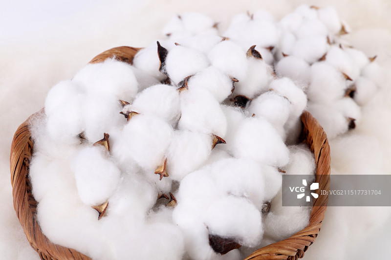 棉花球在白色背景上图片素材