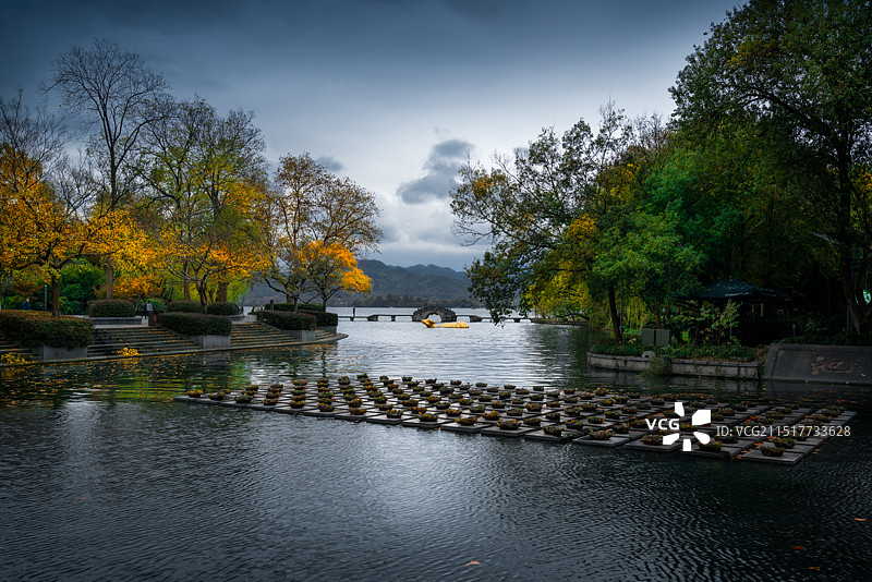 杭州西湖 金牛出水图片素材