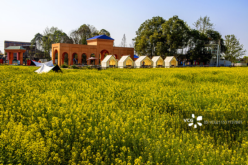 成都郫都区青杠树景区图片素材