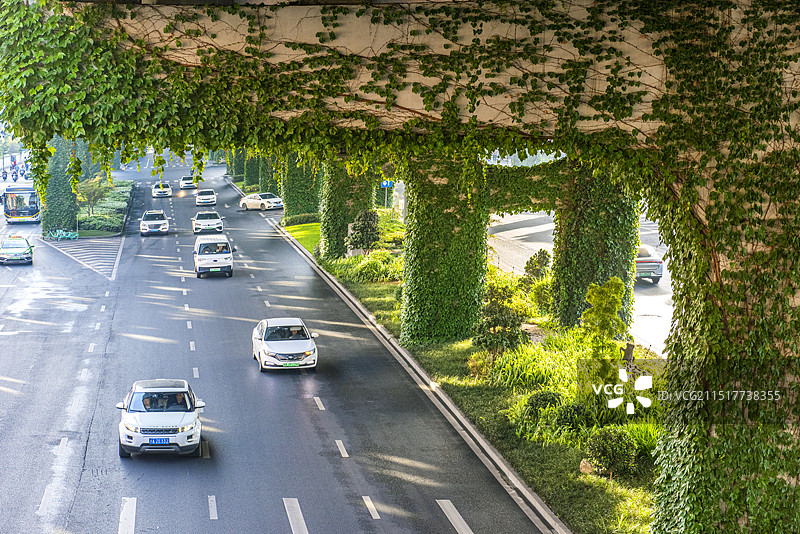 成都绿色二环高架桥图片素材