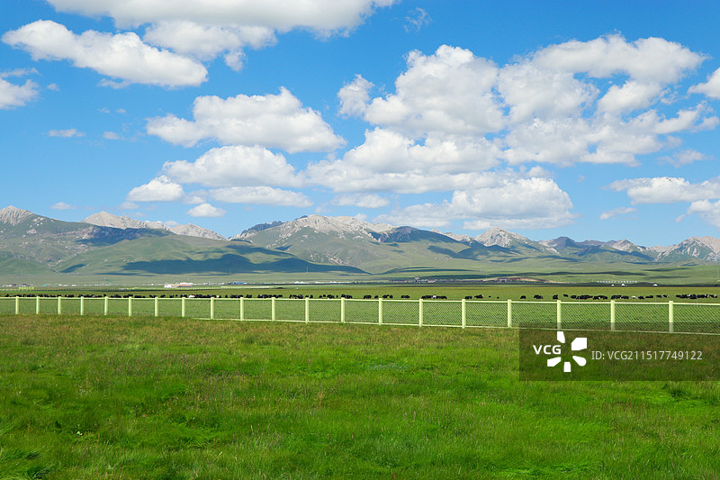 邂逅若尔盖图片素材