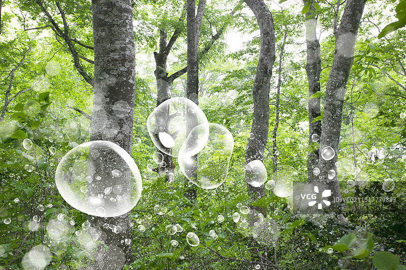 气泡和树林图片素材