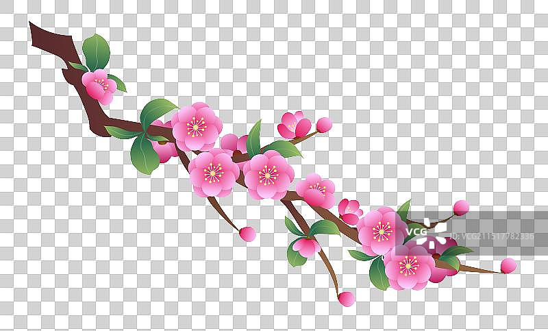 国风山西城市印象省花榆叶梅梅花元素图片素材