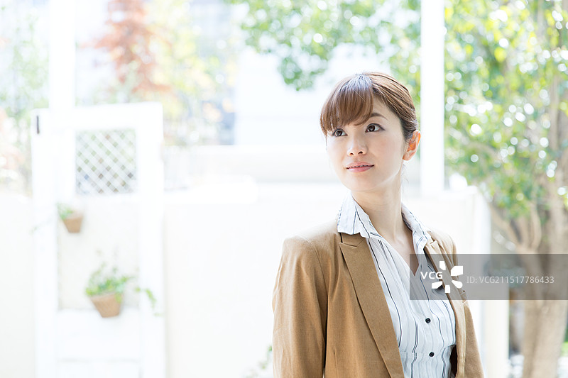 年轻的女商人图片素材