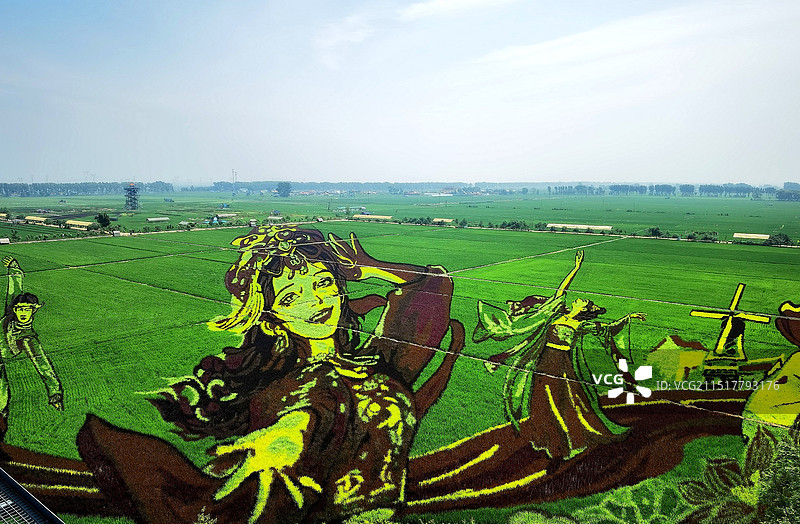 稻梦空间风景区景观系列之稻田画风光（辽宁省沈阳市）图片素材