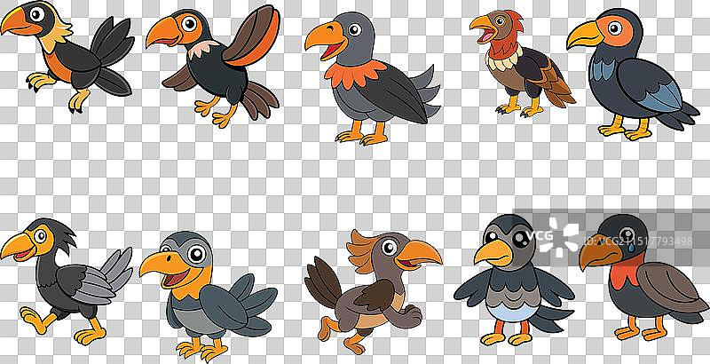 加利福尼亚兀鹫动物设计图片素材