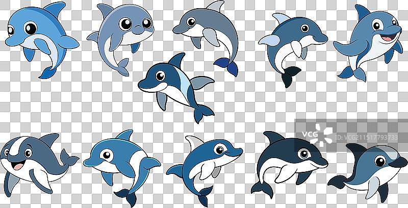 康氏矮海豚扁平设计动物设计图片素材