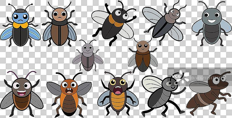 叩头虫扁平设计动物图案图片素材