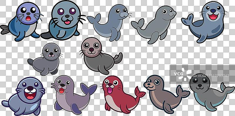 海豹扁平动物设计图片素材