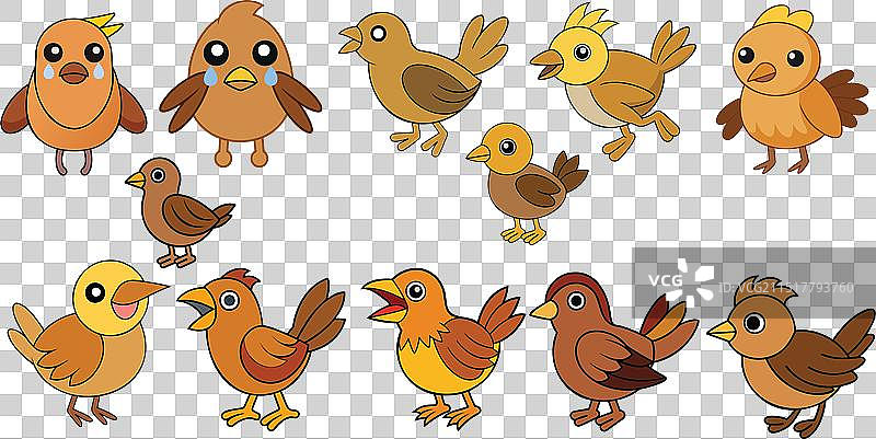 Corncrake动物设计图片素材