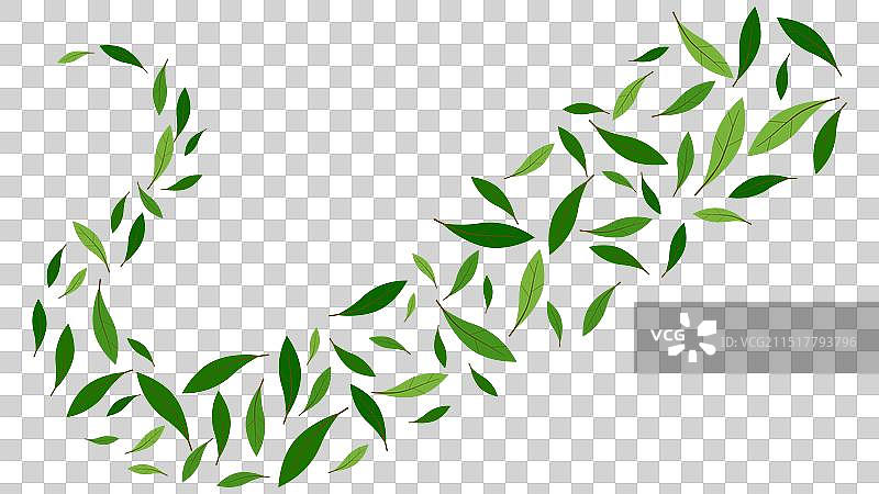 自然漂浮的绿叶飞行装饰图片素材