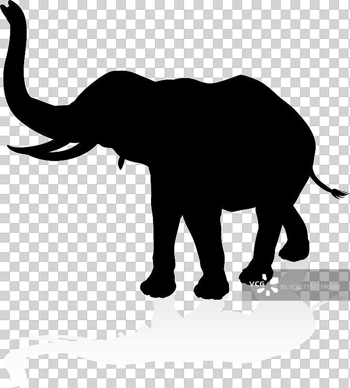 大象野生动物园动物剪影图片素材