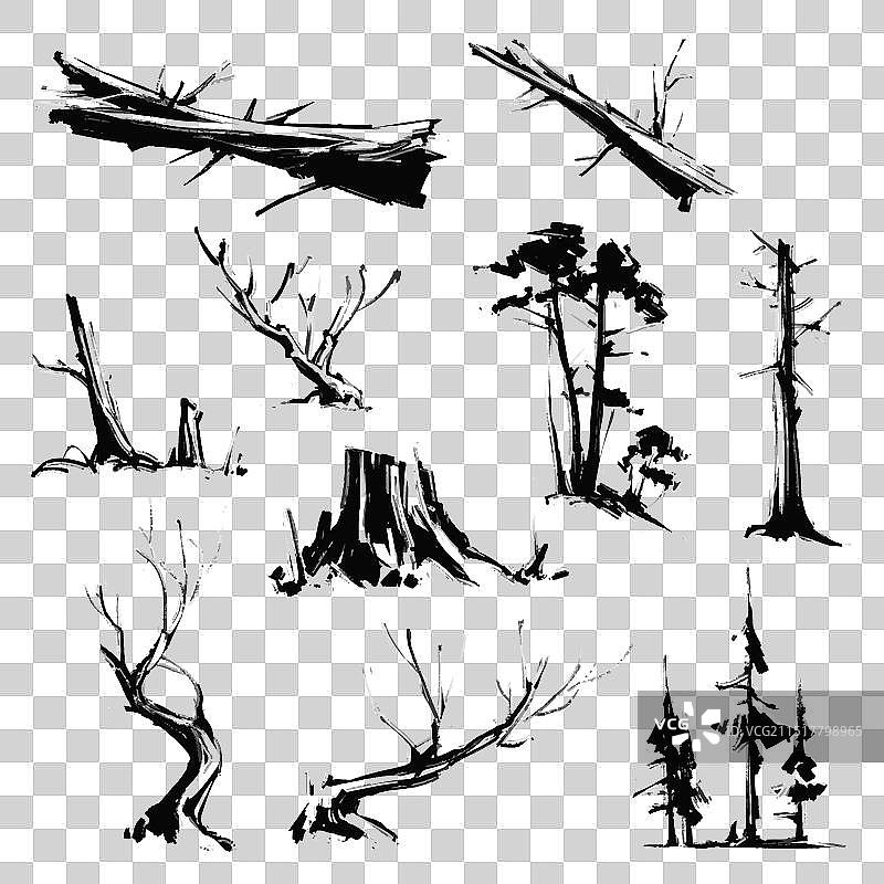 干燥的枯树素描图片素材