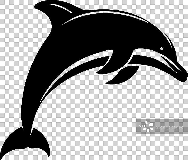 白色背景上的海豚黑色剪影图片素材