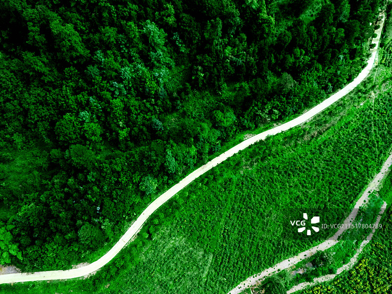 蜿蜒小路图片素材