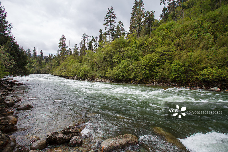 绿色秘境南伊沟风光-拍摄于西藏米林县图片素材