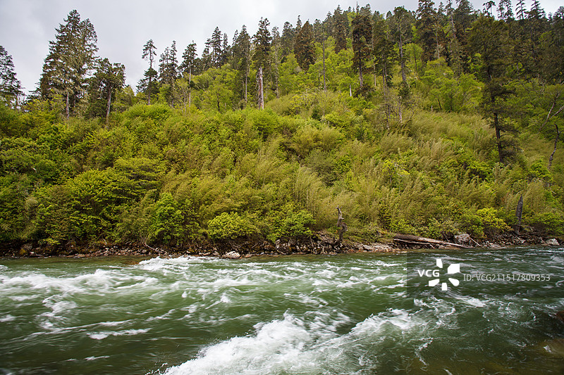 绿色秘境南伊沟风光-拍摄于西藏米林县图片素材