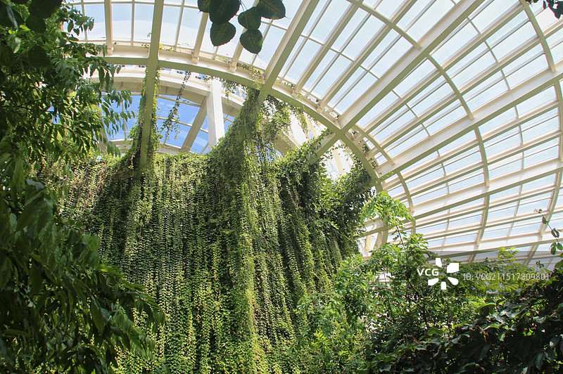 昆明植物园温室图片素材