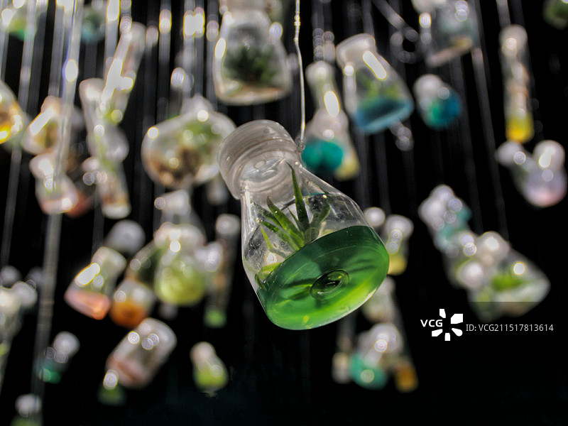 植物培养瓶图片素材