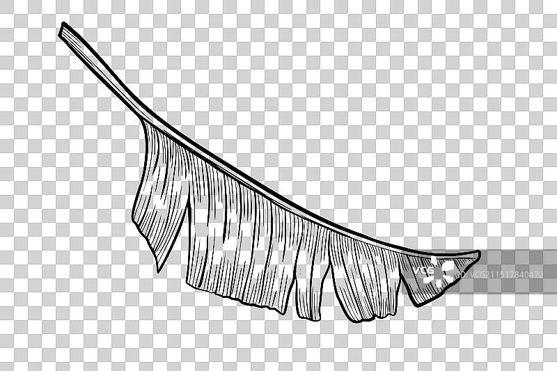 线性风格的棕榈叶图片素材