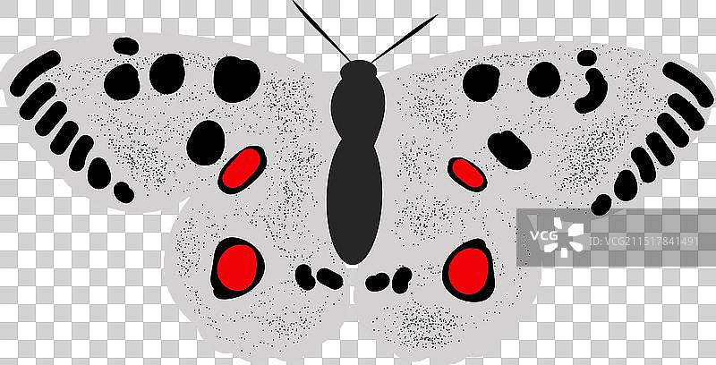 带红色斑点的黑白蝴蝶图片素材