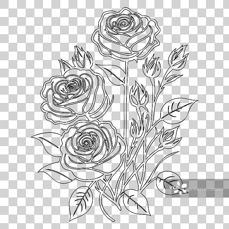 玫瑰花轮廓草图图片素材