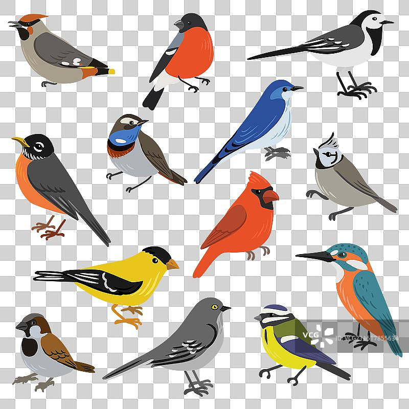 鸟类简笔画图片素材