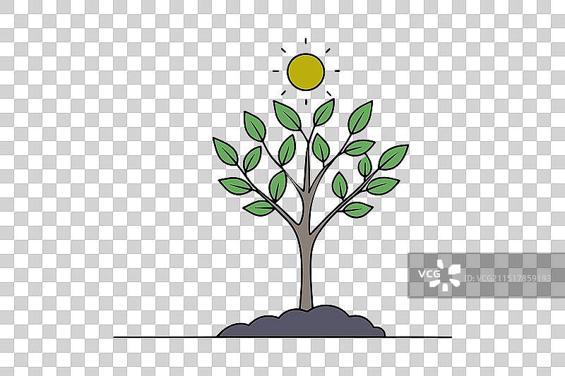 种植种子以在线生长（白色背景）图片素材