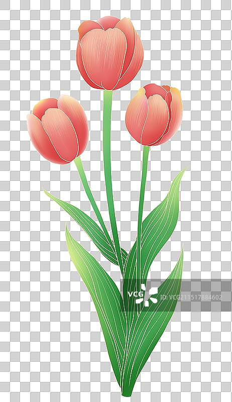 手绘郁金香鲜花免抠元素图片素材