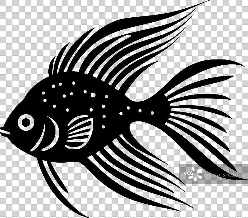 黑白神仙鱼图片素材