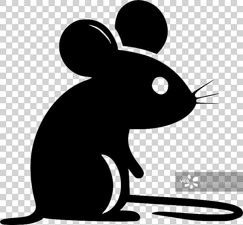 黑白老鼠图片素材