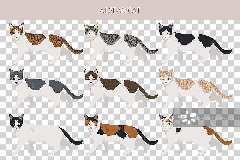 爱琴海猫剪贴画全套毛色图片素材